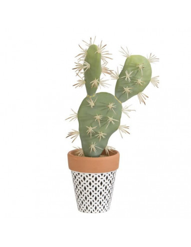 Cactus Plat En pot ethnique noir