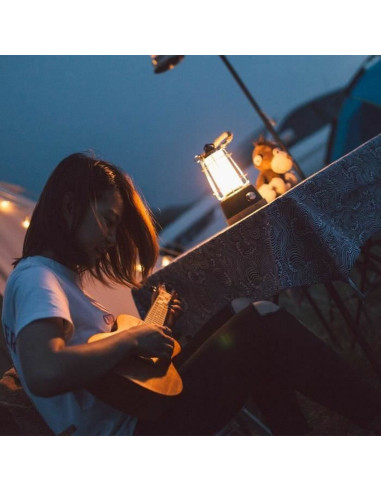 Lanterne Lumisky WILDY