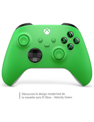 Console de Jeu Portable Microsoft EP2-29916