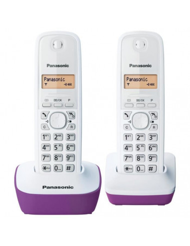 Panasonic KXTG1612FRF Duo Téléphone...