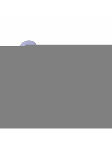 Tatouages Temporaires Spin Master