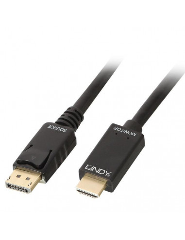 LINDY Câble DisplayPort vers HDMI...