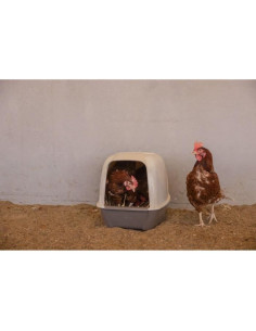 Pondoir pour poules - KERBL - 52 x 39 x 39 cm