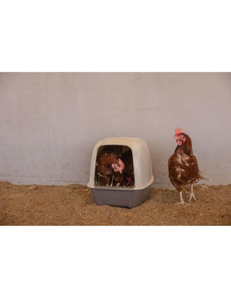 Pondoir pour poules - KERBL - 52 x 39 x 39 cm
