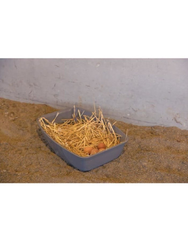 Pondoir pour poules - KERBL - 52 x 39 x 39 cm