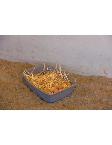 Pondoir pour poules - KERBL - 52 x 39 x 39 cm