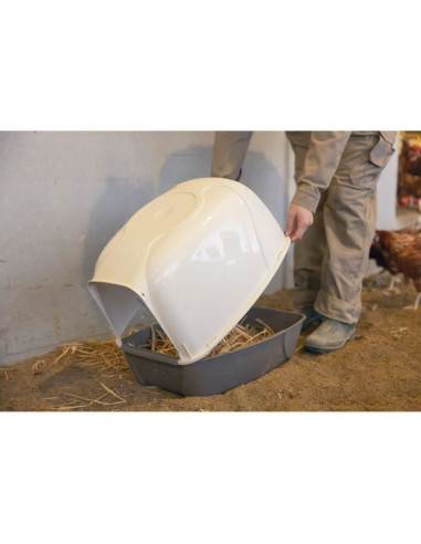 Pondoir pour poules - KERBL - 52 x 39 x 39 cm