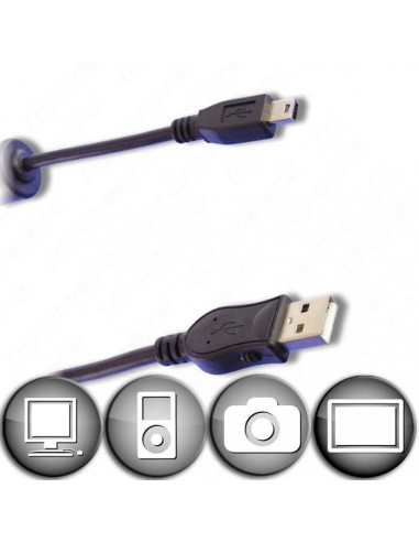 Câble Mini USB B 5 contacts mâle /...
