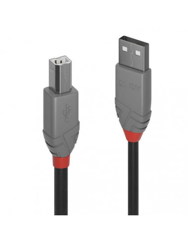 LINDY Câble USB 2.0 type A vers B...