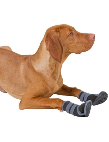 KERBL - Chaussures pour chien - ACTIVE - Gris/noir - Taille M