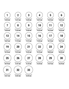 Bague Femme Skagen JRSP036SS 2