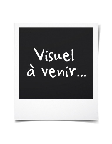 PLAYMOBIL - 70985 - Maison Transportable Bleue