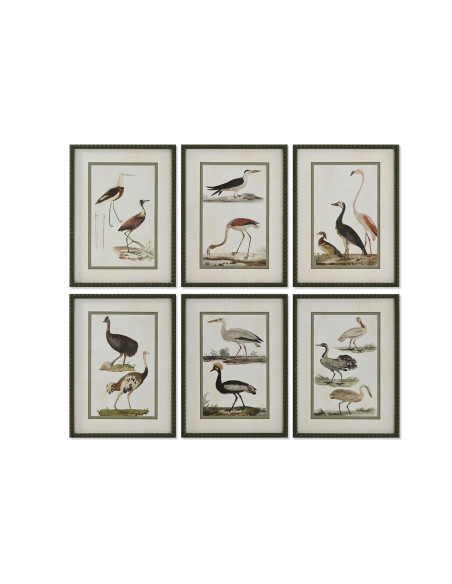 Cadre Home ESPRIT Oiseaux Cottage 40 x 2,5 x 54 cm (6 Unités)